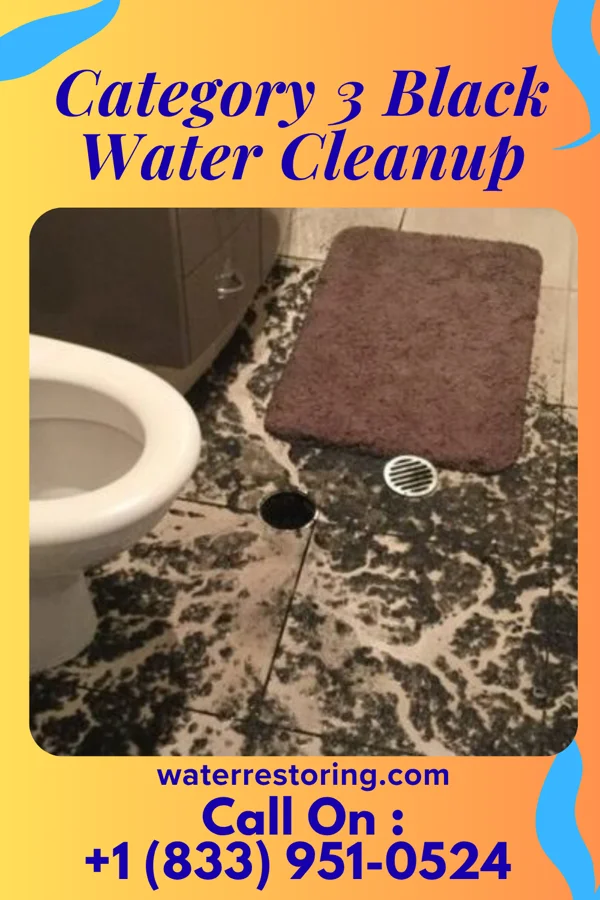 Category 3 Black Water Cleanup in Oakley, MI