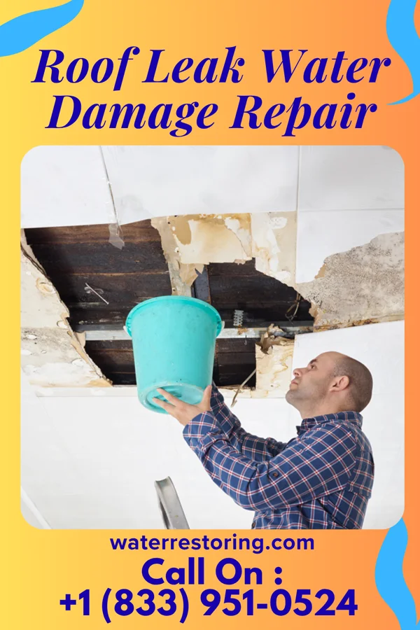 Roof Leak Water Damage Repair in Oakley, MI