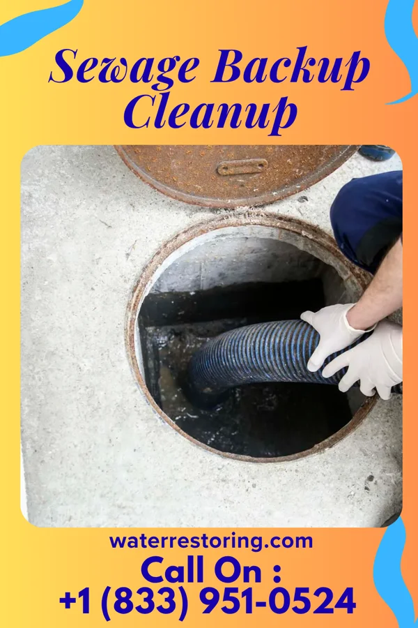 Sewage Backup Cleanup in Oakley, MI